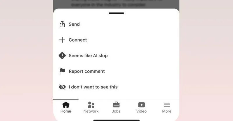 1785424232227.jpeg